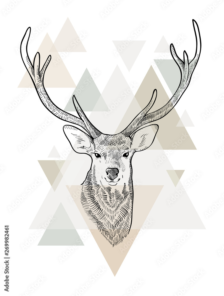 Obraz Tryptyk Hand drawn head of deer.