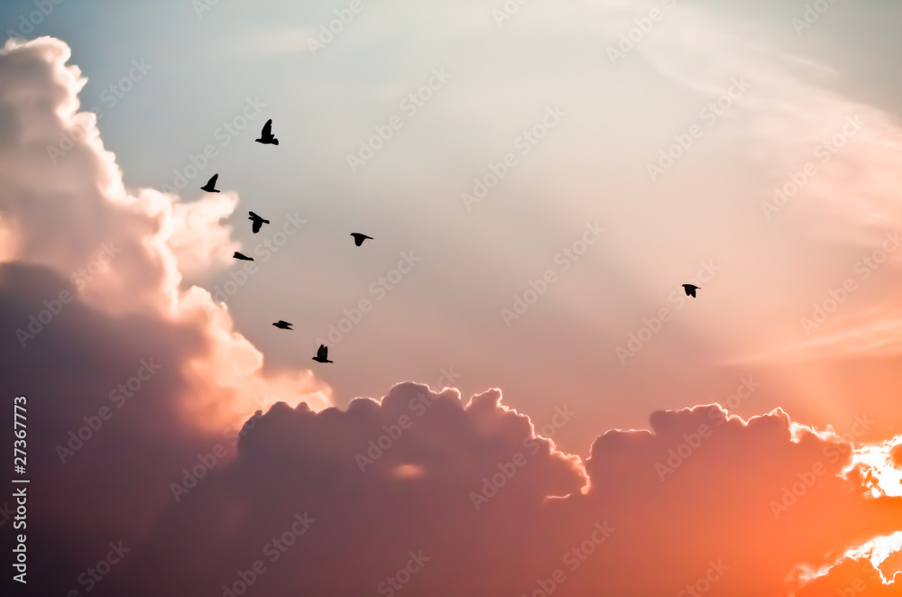 Obraz Kwadryptyk Birds above the clouds
