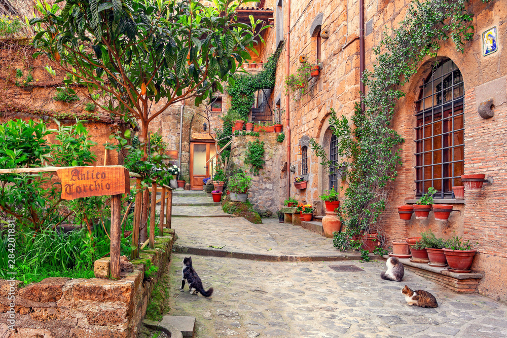 Obraz Tryptyk Beautiful alley in Tuscany,