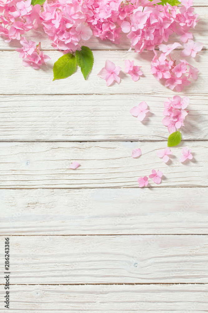 Obraz na płótnie pink hydrangea on white wooden