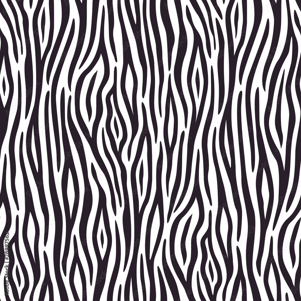Fototapeta Seamless background with zebra