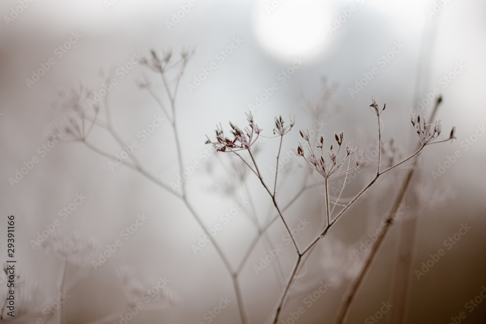 Obraz Tryptyk im winterlichen Nebel