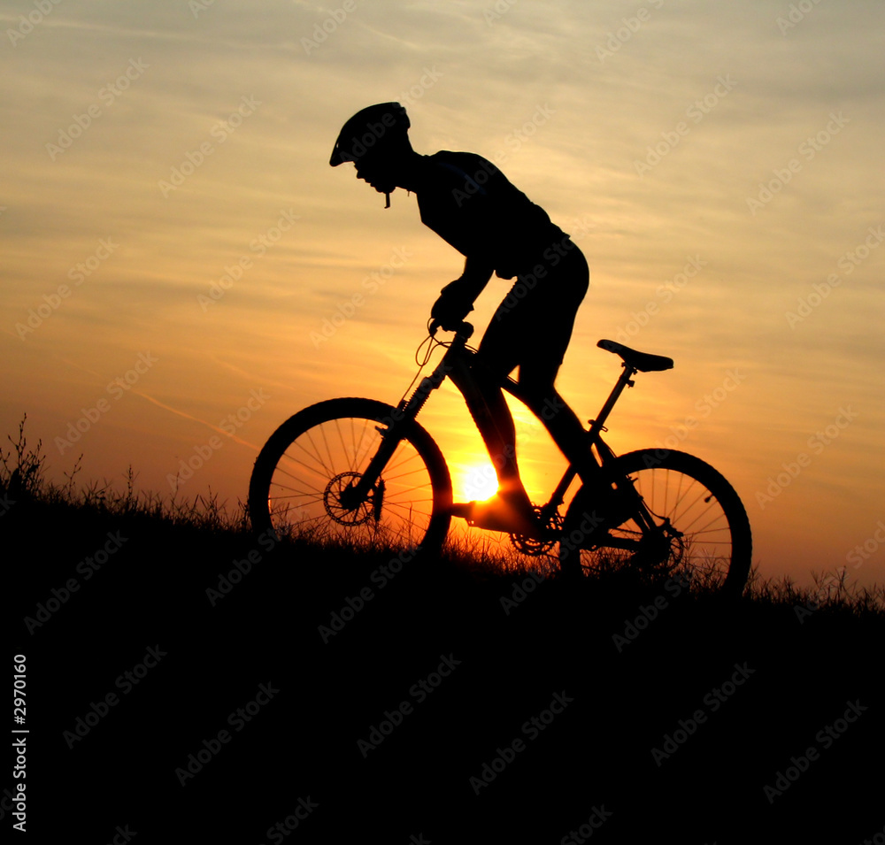 Obraz Tryptyk mountain biker