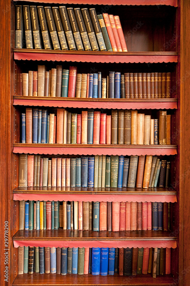 Fototapeta Old bookshelf with rows of