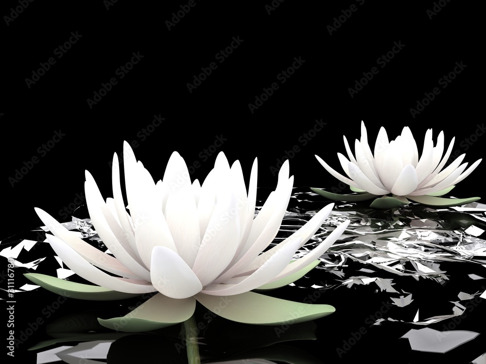 Obraz Tryptyk 3d lotus on water