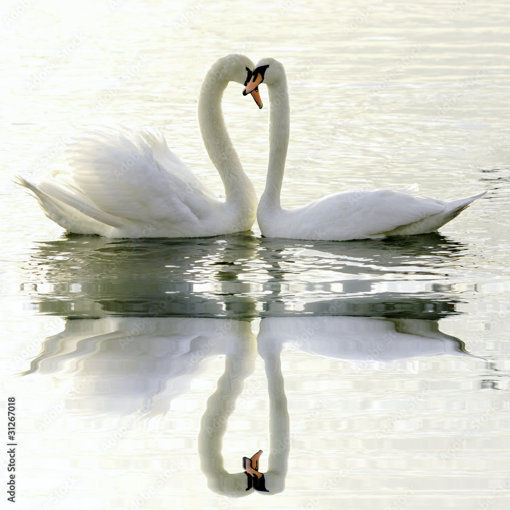 Obraz Pentaptyk Loving Swans