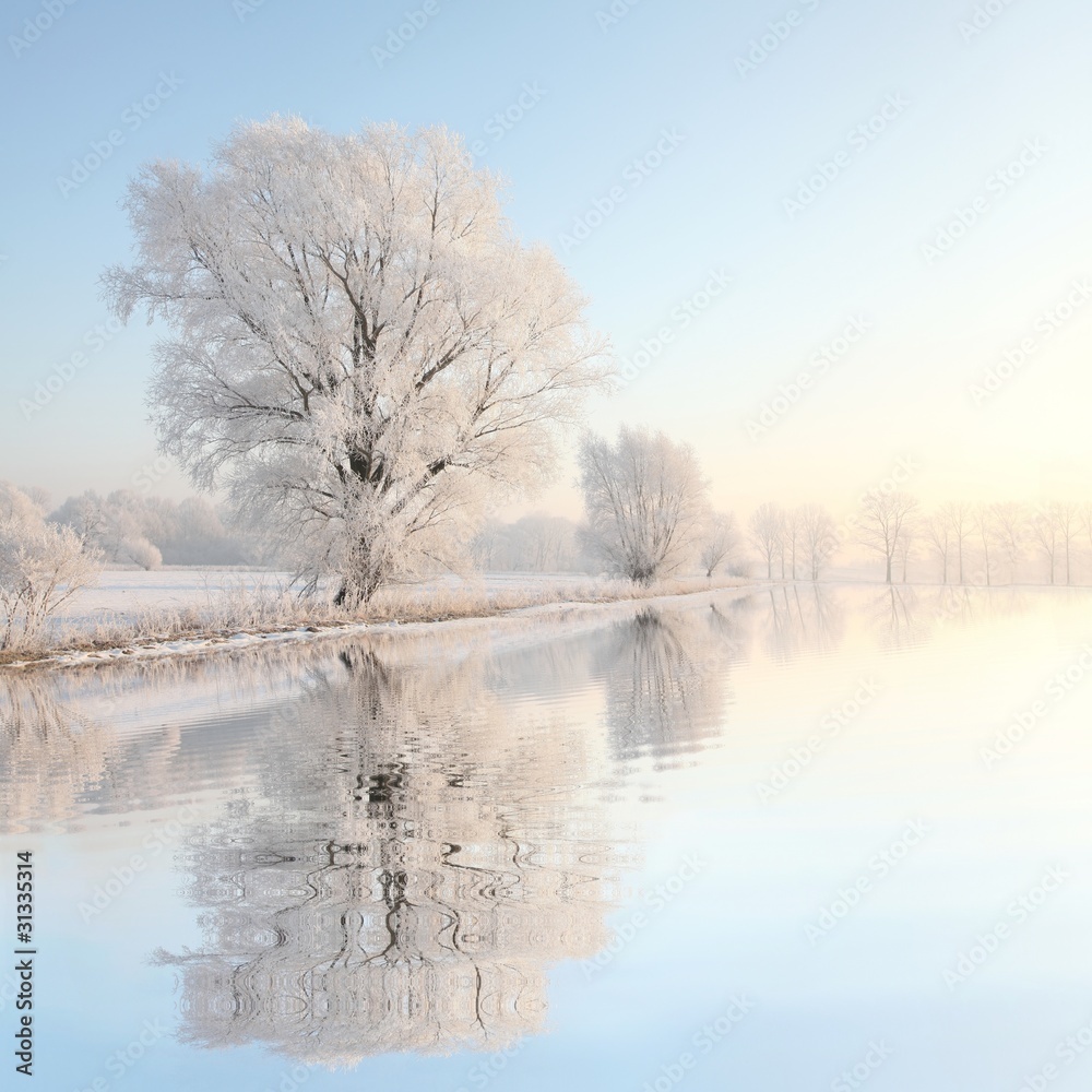Obraz Pentaptyk Frosty winter tree against a