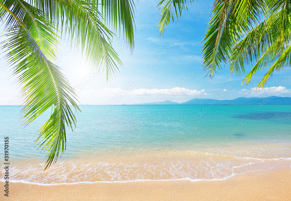 Obraz Tryptyk Palm and tropical beach