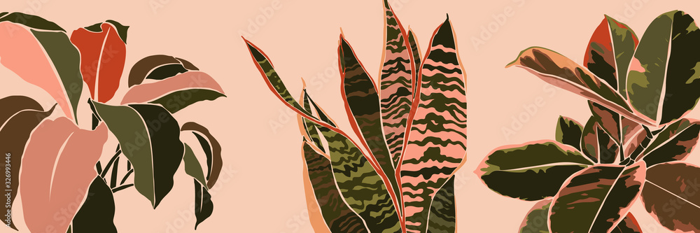 Obraz na płótnie Art collage houseplant leaves