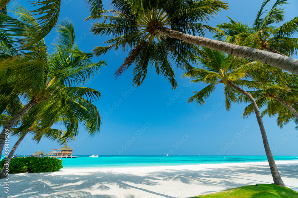 Obraz Tryptyk Sandy beach of tropical island