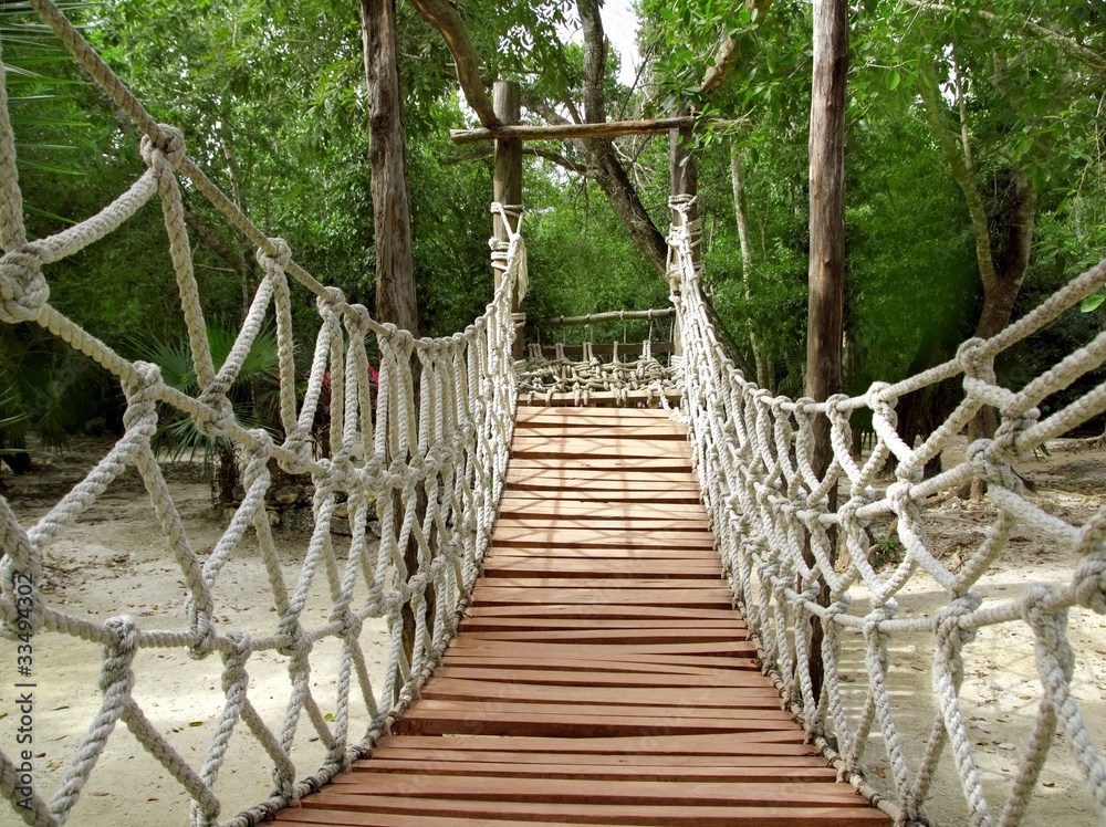 Fototapeta Adventure wooden rope jungle