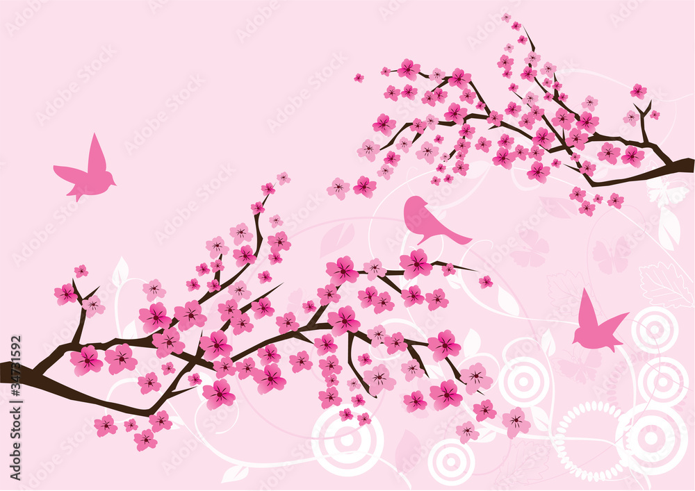 Fototapeta vector cherry blossom with