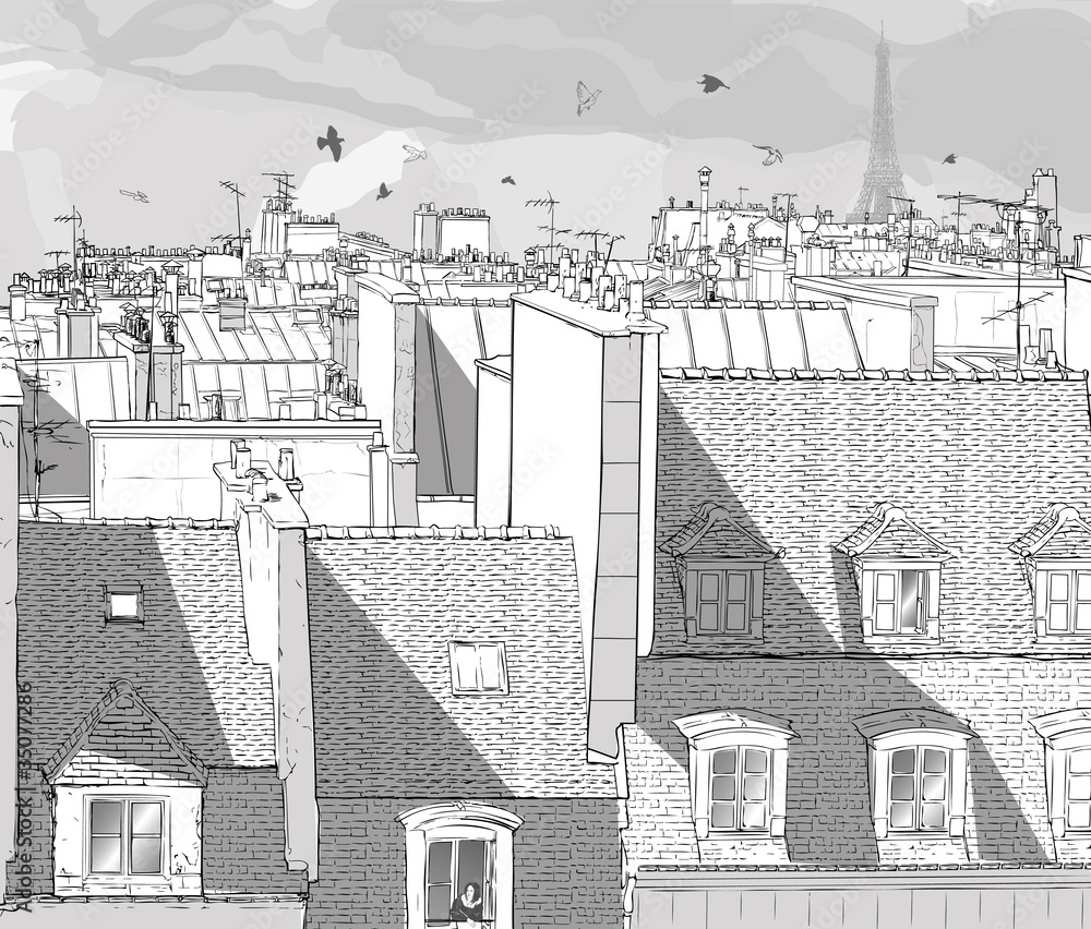 Obraz Pentaptyk France - Paris roofs