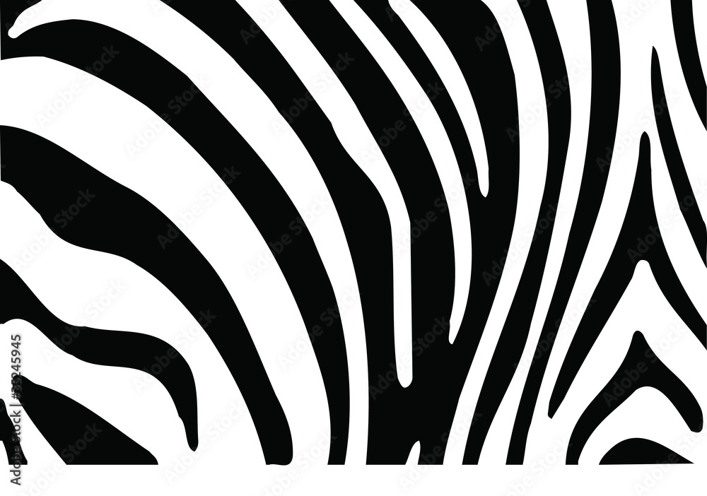 Obraz Pentaptyk Zebra skin