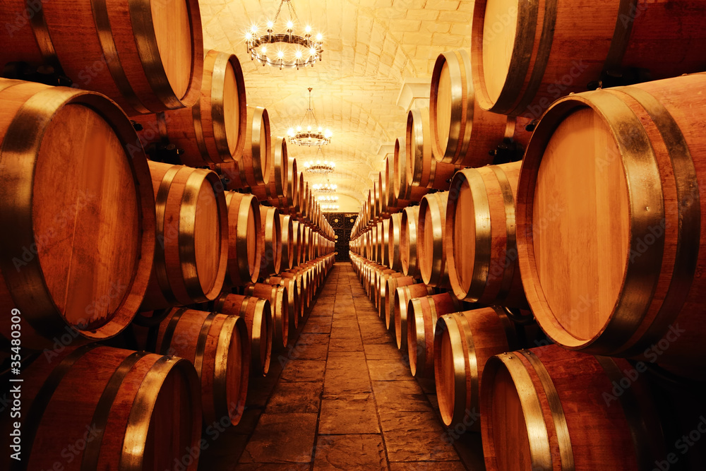 Fototapeta Wine cellar with  barrels