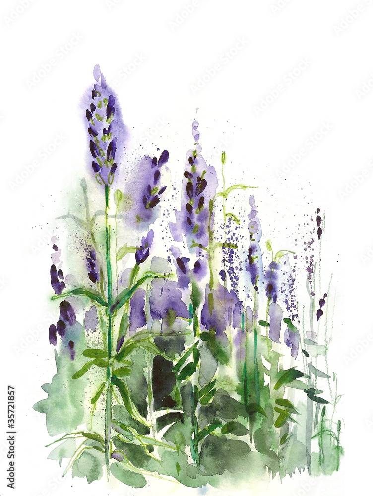 Obraz Tryptyk Watercolor -Lavender field-