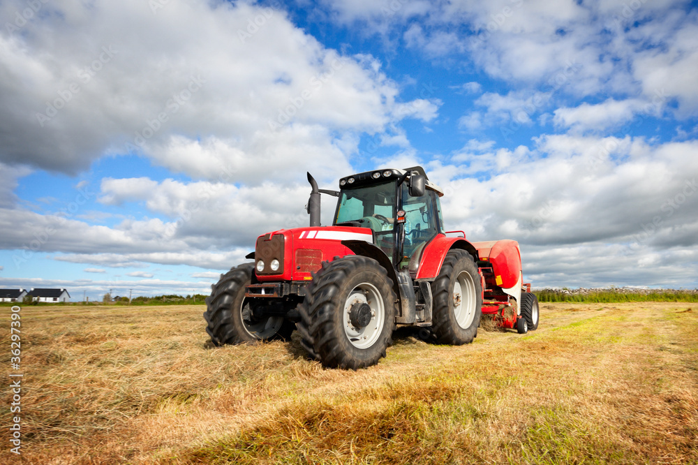 Fototapeta tractor collecting haystack in