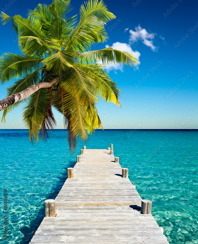 Obraz Pentaptyk plage vacances cocotier