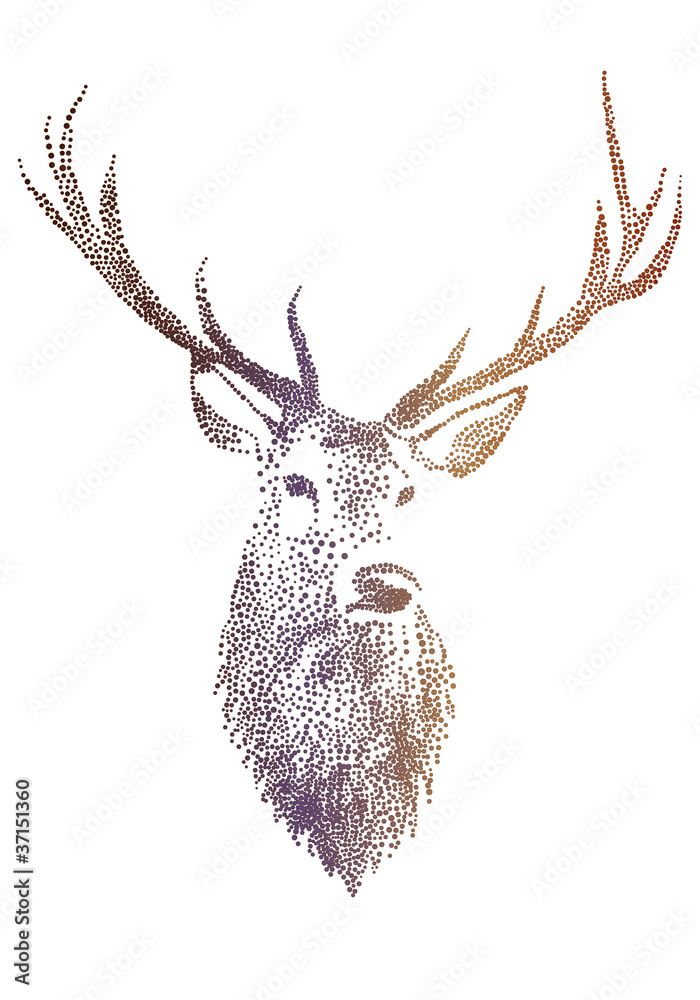 Fototapeta deer head, vector