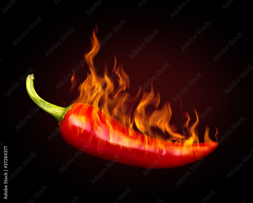 Fototapeta Red hot chili pepper on black