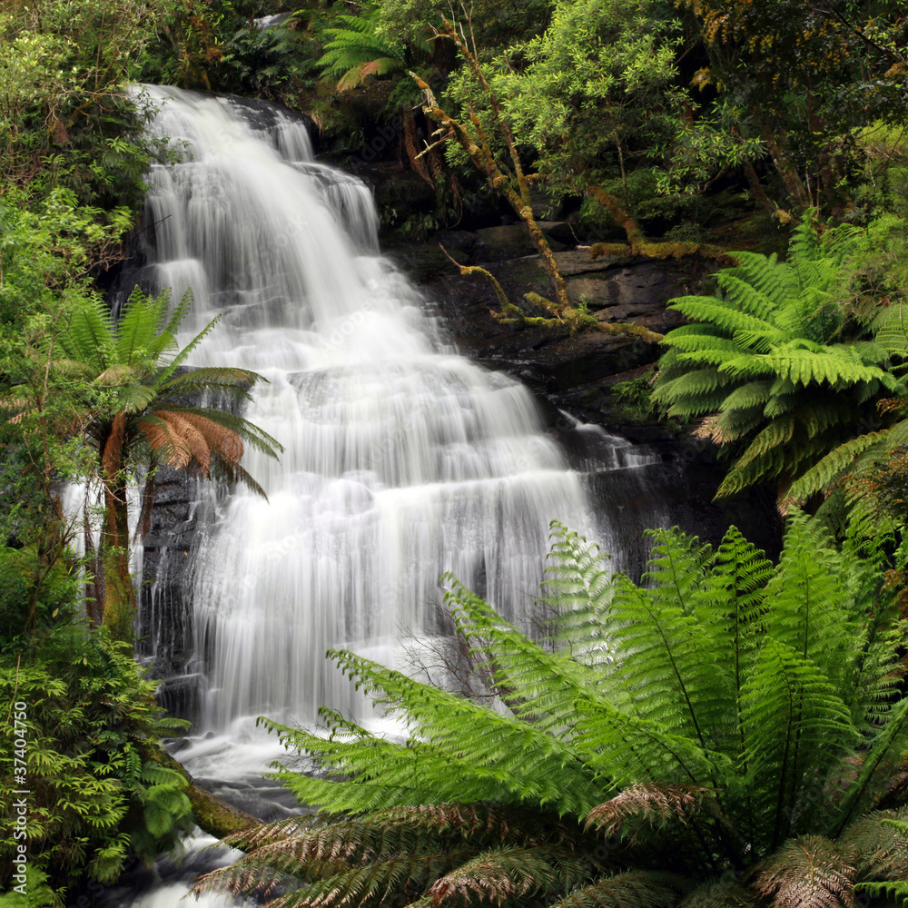 Obraz Pentaptyk Rainforest Waterfall