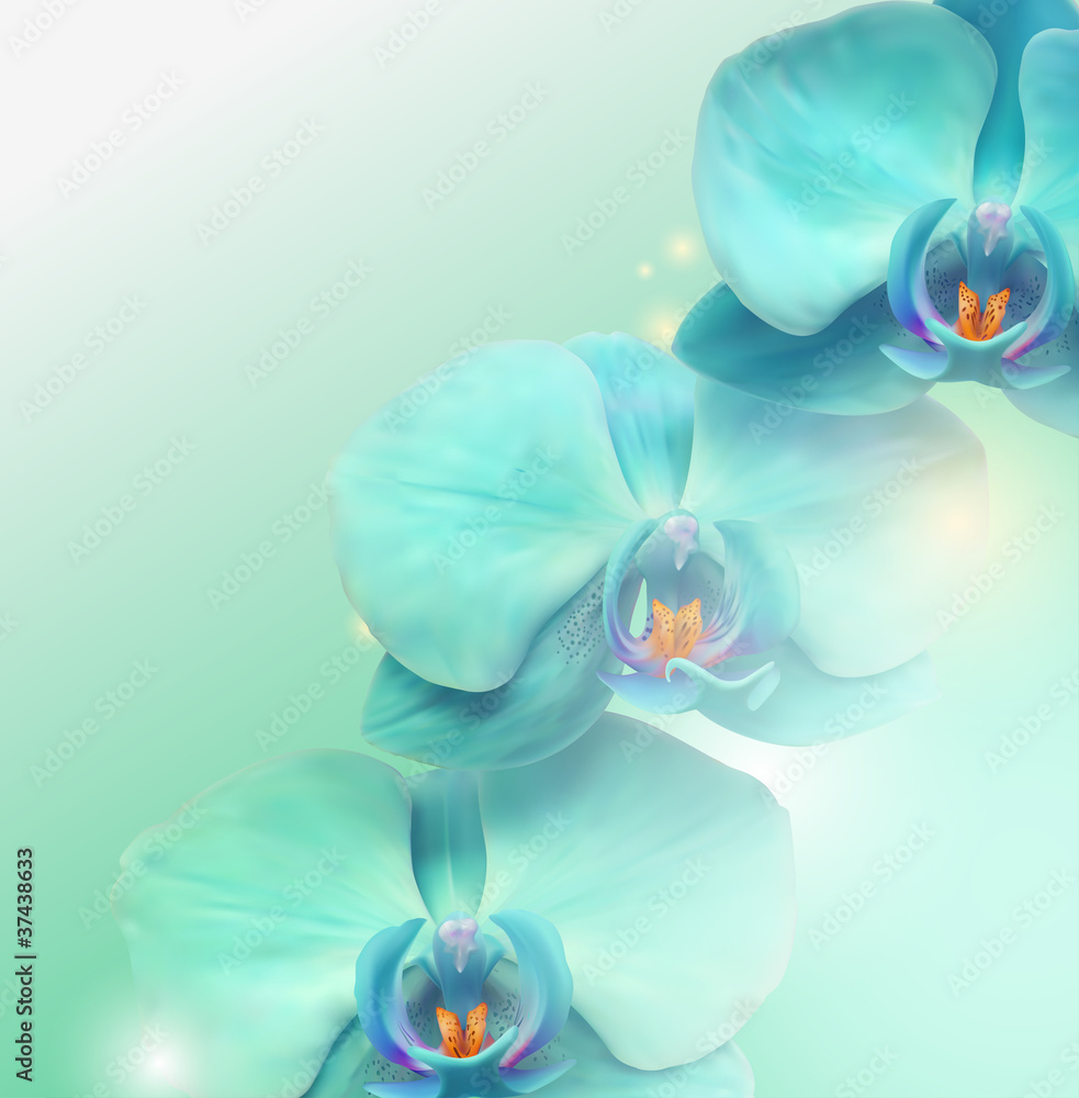Obraz Tryptyk flower Orchid background