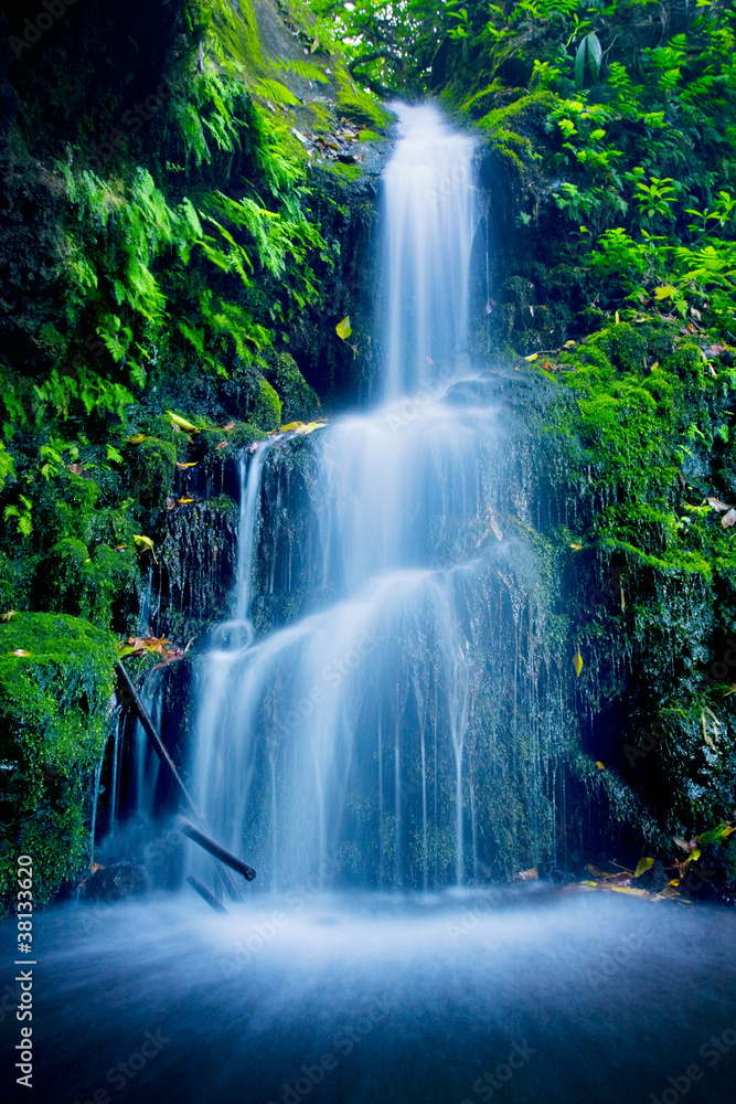 Obraz Tryptyk Beautiful Lush Waterfall