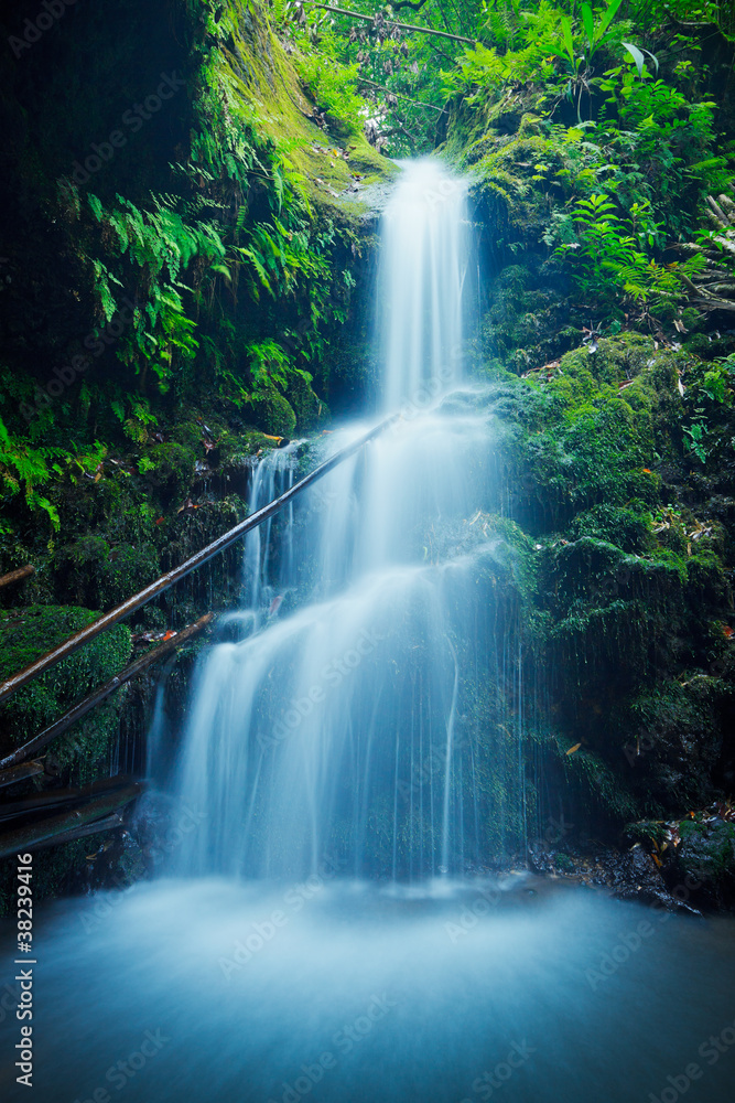 Fototapeta Beautiful Lush Waterfall in