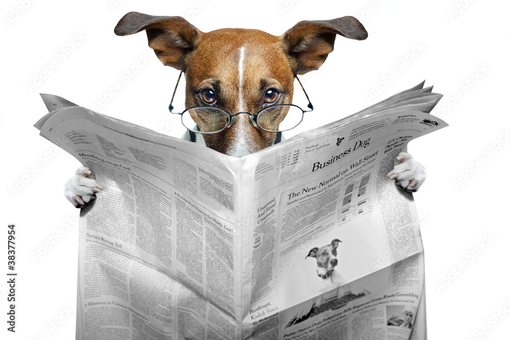 Obraz Tryptyk dog reading a newspaper