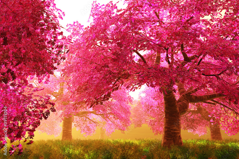 Obraz Tryptyk Mysterious Cherry Blossom
