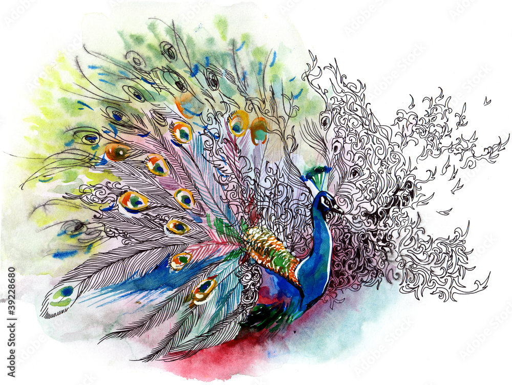Obraz Pentaptyk peacock (series C)