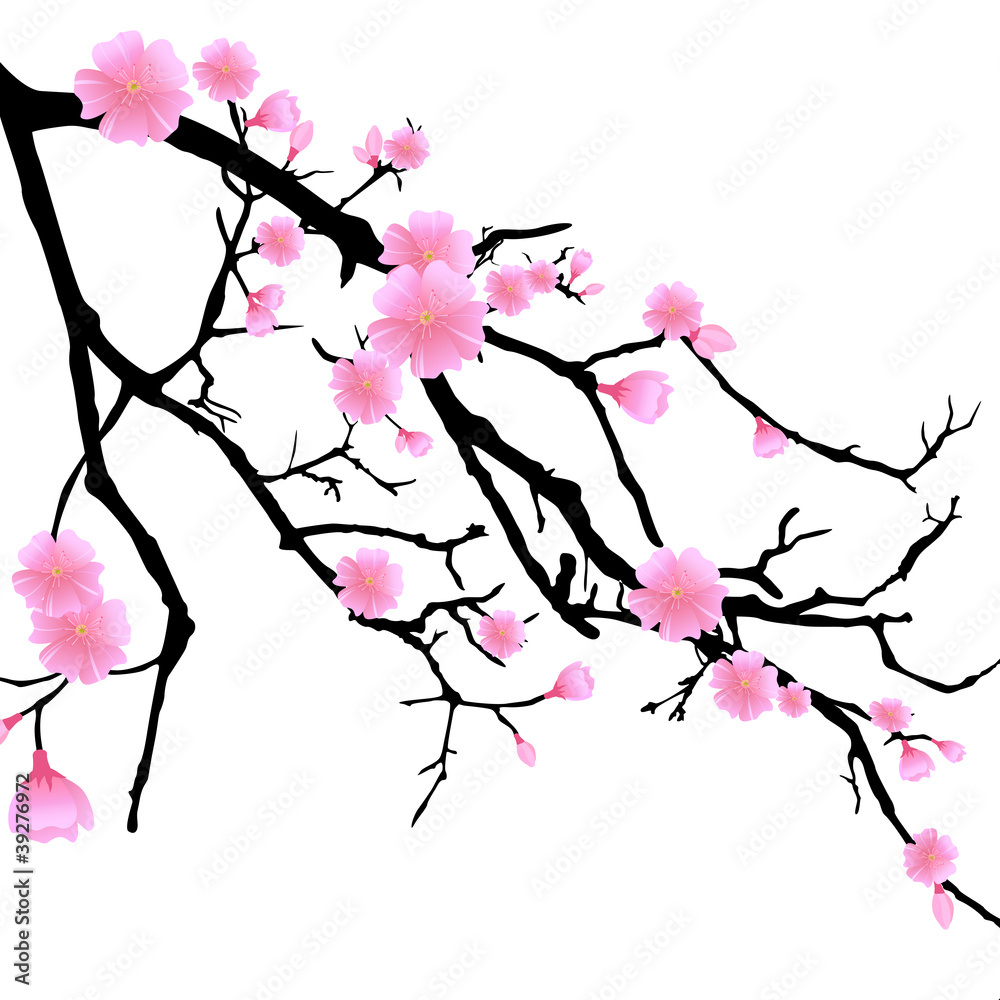 Obraz Dyptyk Ast mit Kirschblüten
