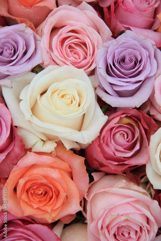 Fototapeta Pastel rose wedding flowers