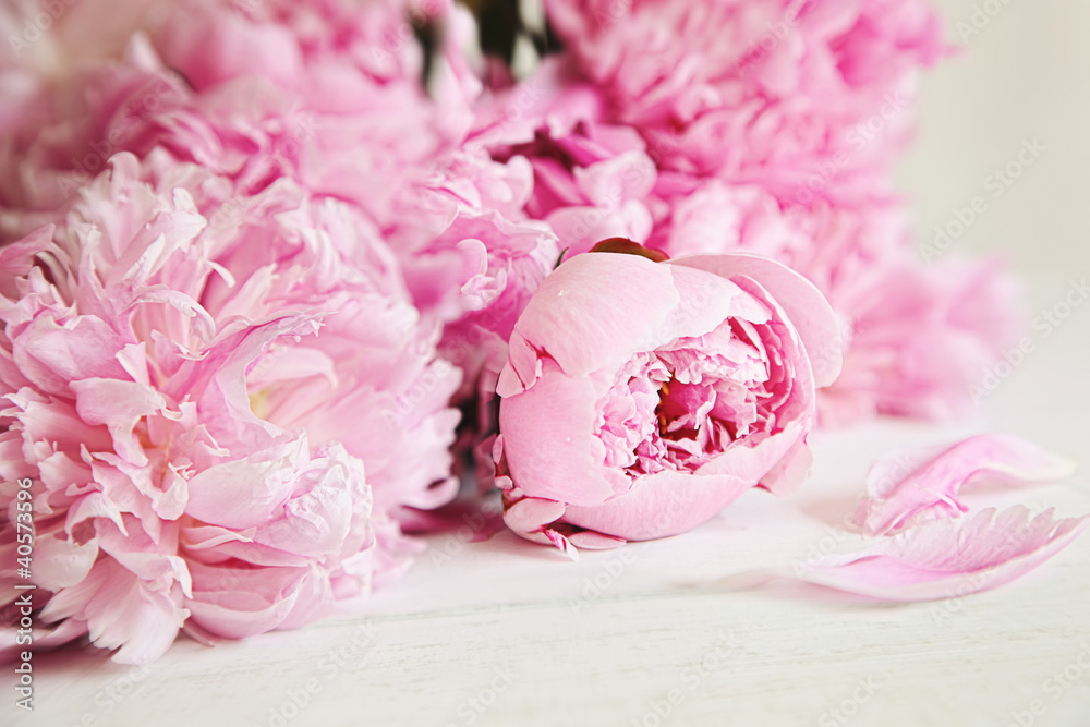 Fototapeta Pink peony flowers on wood