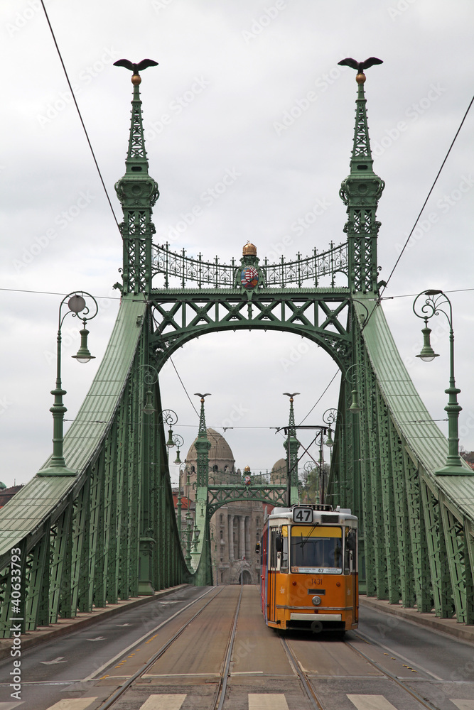Fototapeta Freiheitsbrücke