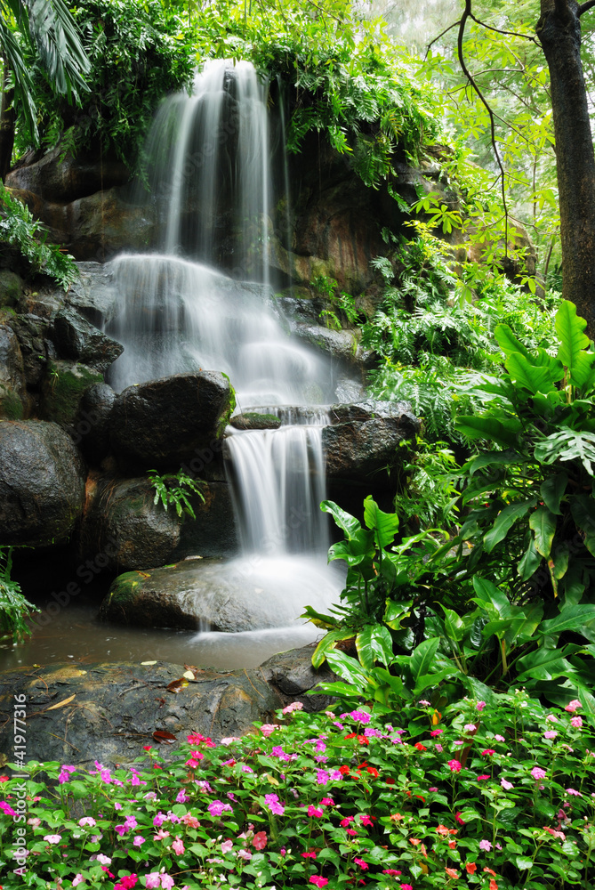 Fototapeta Beautiful waterfall in the