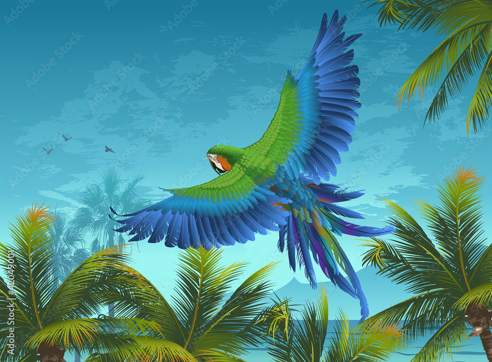Obraz Tryptyk Amazon. Tropical background