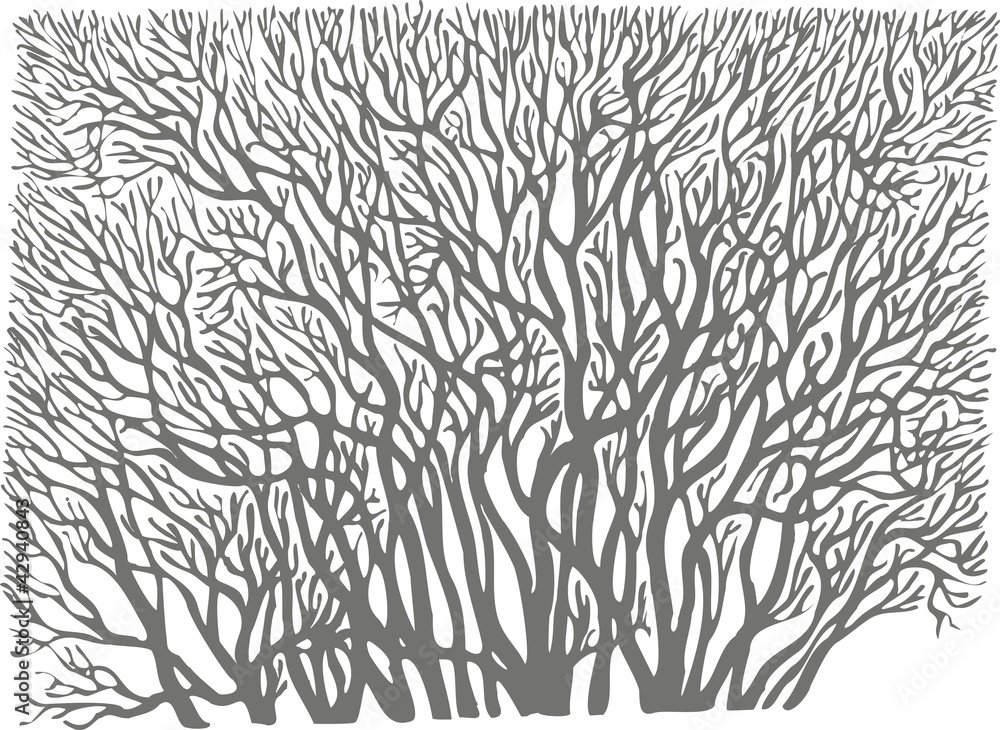 Fototapeta wallpaper tree sticker trees