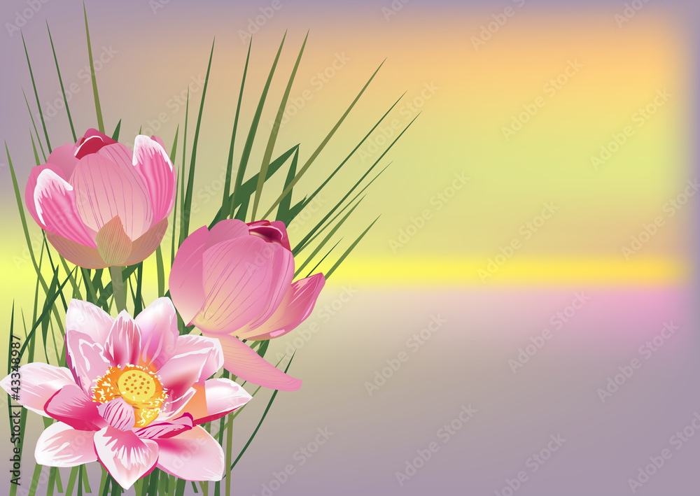 Obraz na płótnie pink composition with lotus