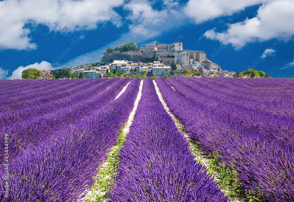 Obraz na płótnie Lavande en Provence, village