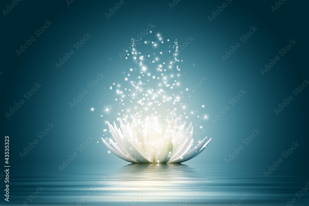 Obraz Tryptyk Lotus flower