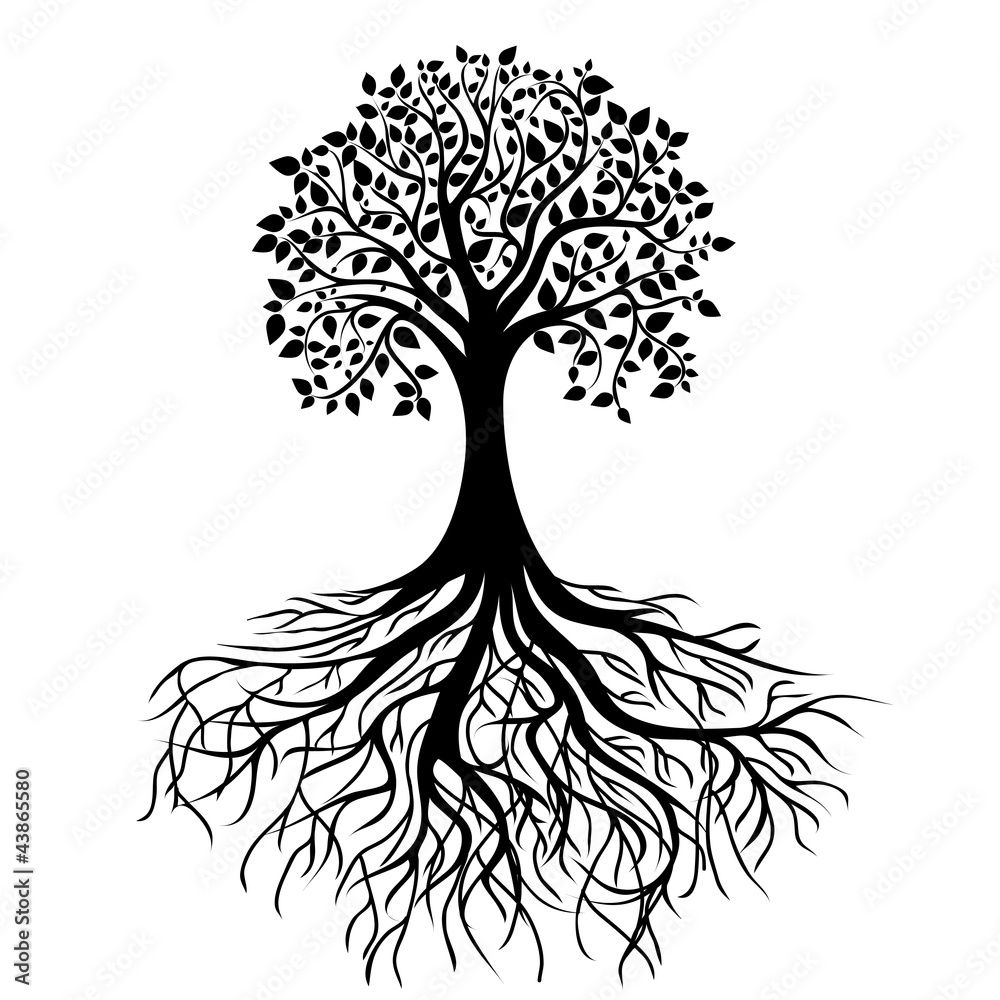 Obraz na płótnie Tree with roots