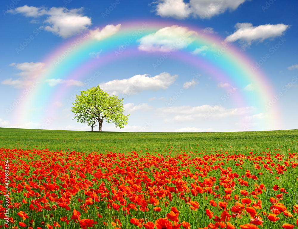 Obraz Tryptyk rainbow above the spring