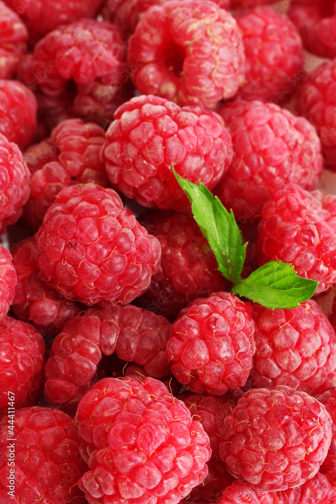 Fototapeta ripe raspberries