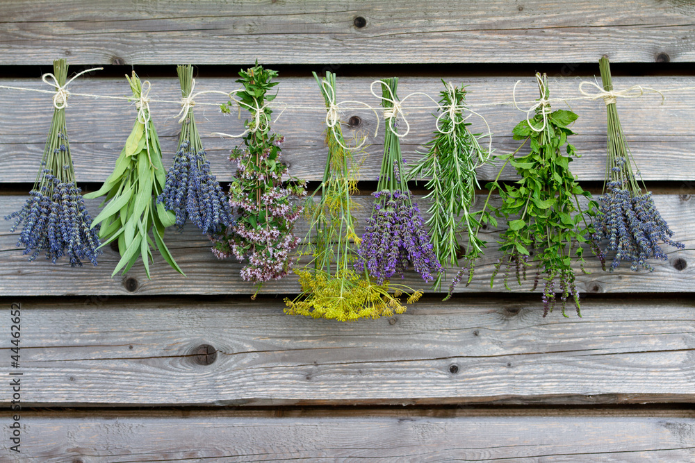 Obraz Tryptyk Herbs drying on the wooden