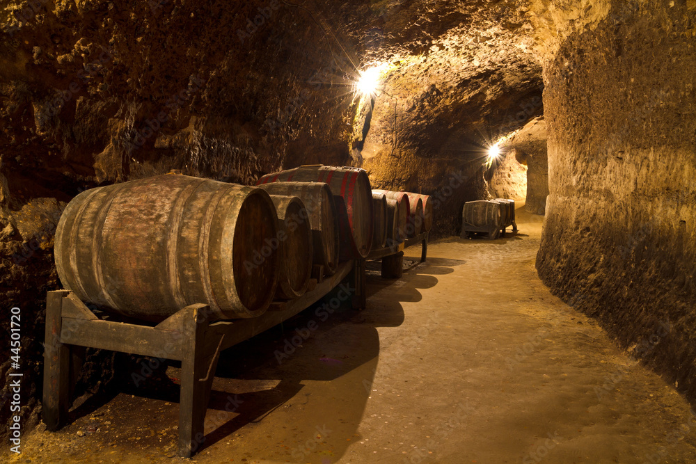 Fototapeta Wine Cellar