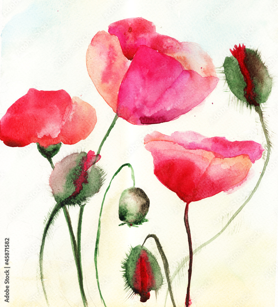 Obraz Tryptyk Stylized Poppy flowers