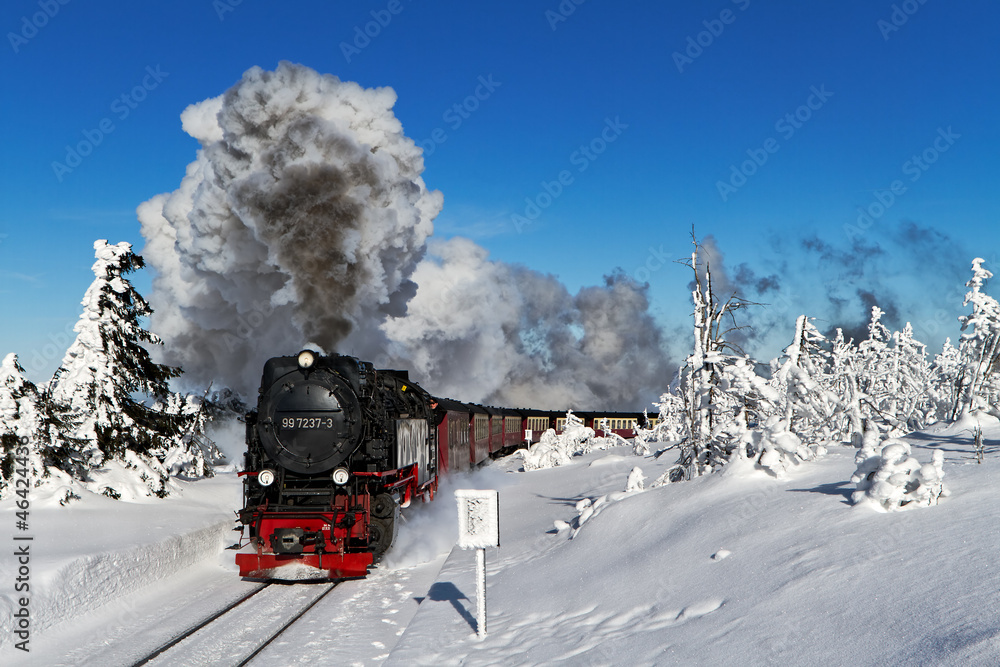 Fototapeta Harz Brockenbahn mit Dampflok