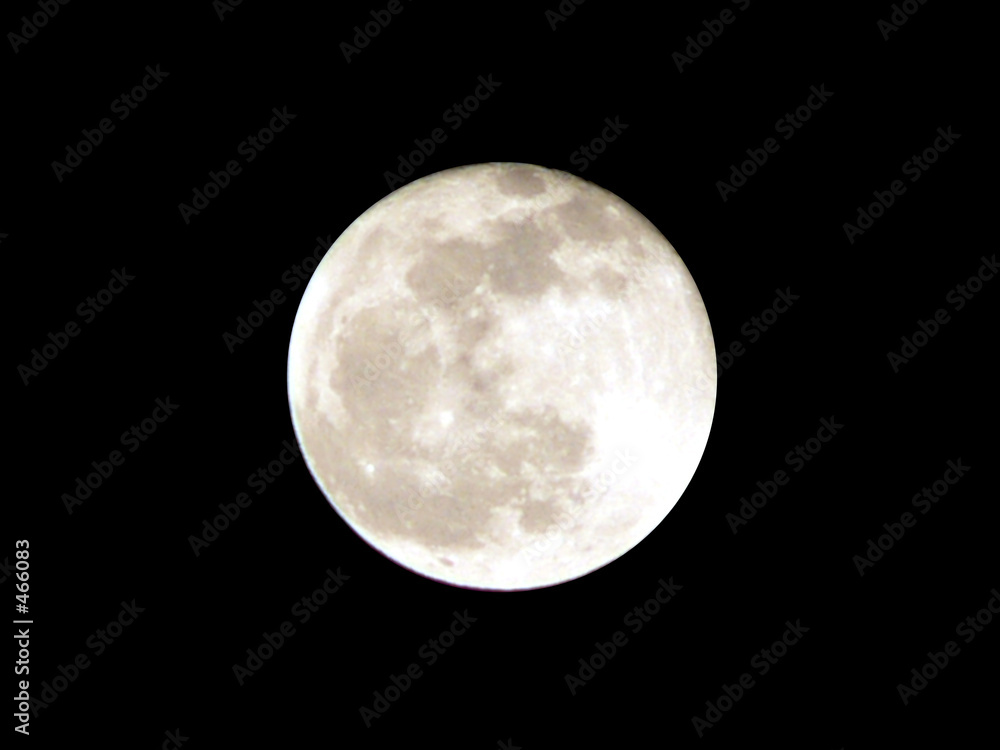 Fototapeta full moon