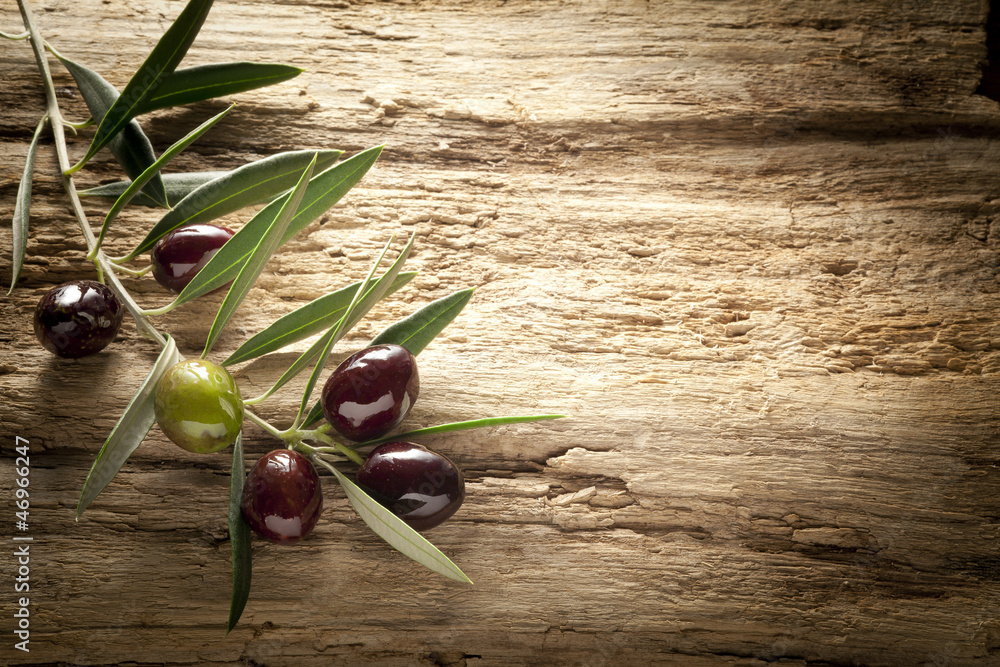 Obraz na płótnie olives